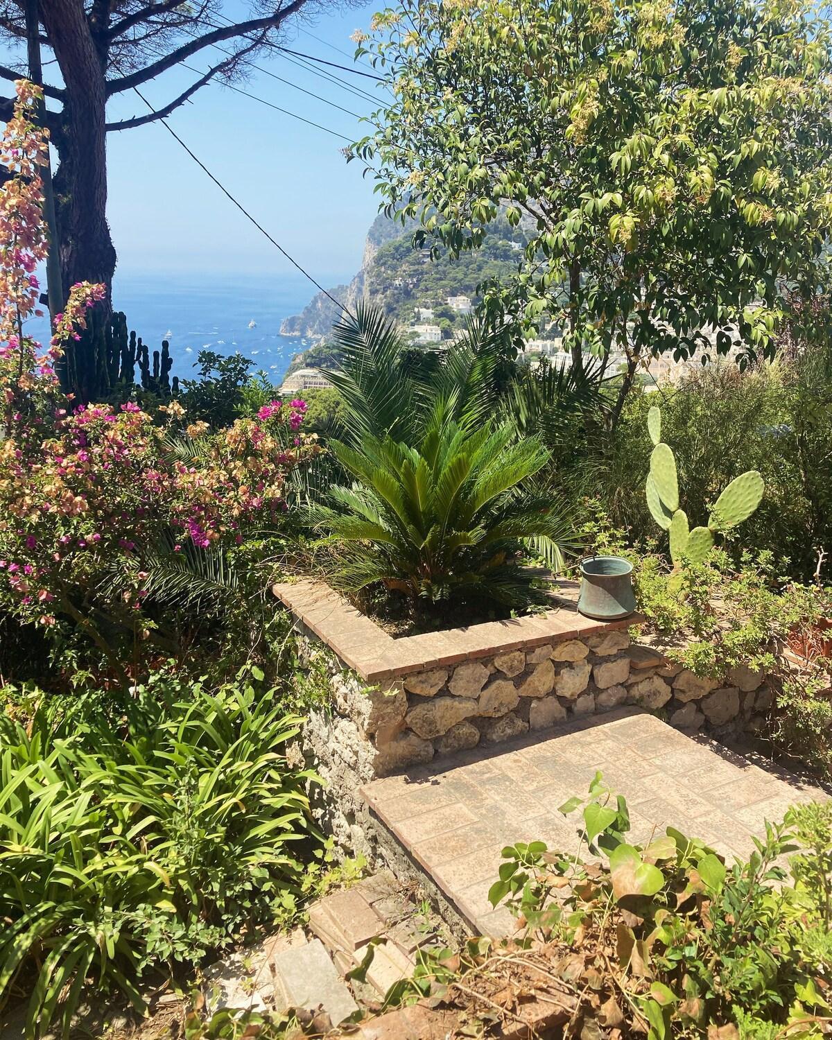 Villetta Rosetta Capri Ngoại thất bức ảnh
