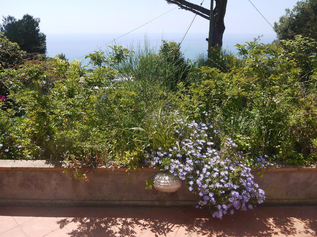Villetta Rosetta Capri Ngoại thất bức ảnh